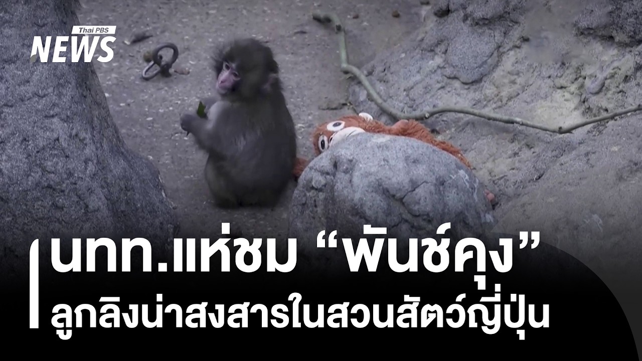นทท.แห่ชม 