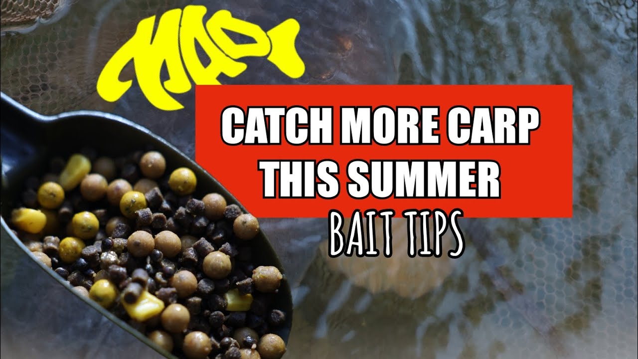 CATCH MORE CARP IN SUMMER | SUMMER BAIT TIPS | CARP FISHING