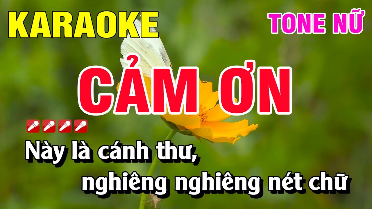 Karaoke Cảm Ơn Tone Nữ Nhạc Sống | Nguyễn Linh
