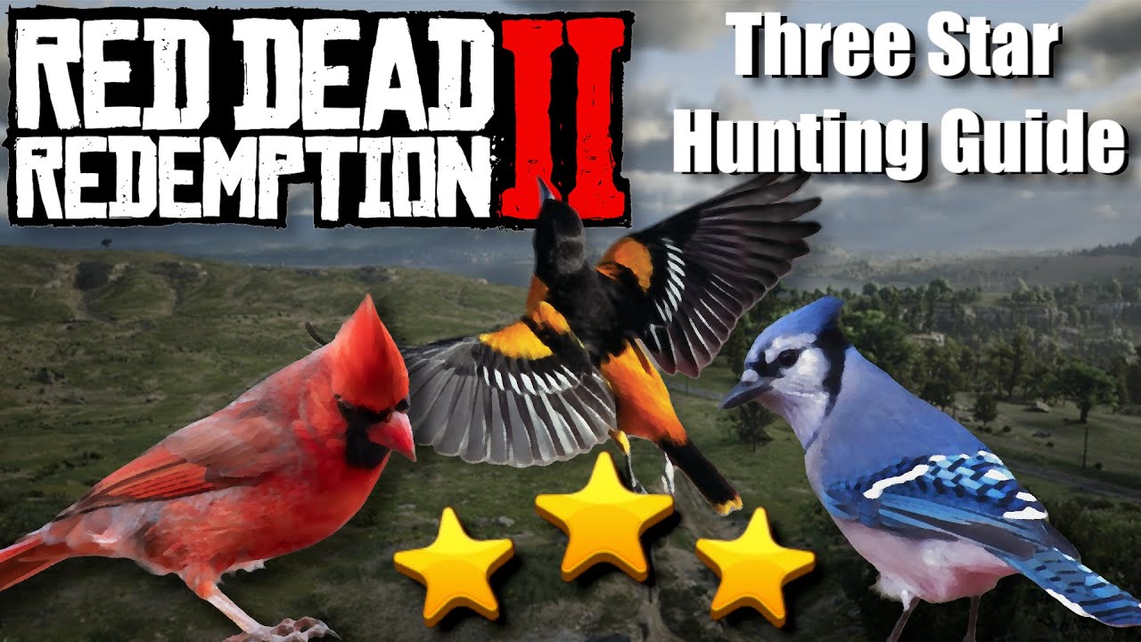 The MOST consistent way to hunt PERFECT Cardinals, Blue Jays, and Orioles in Red Dead Redemption 2