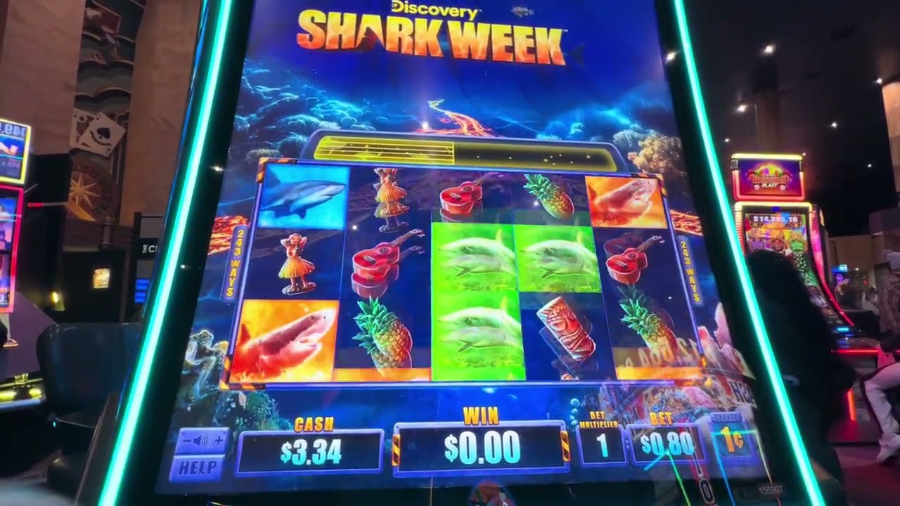 The Slot Brothers - Shark Week