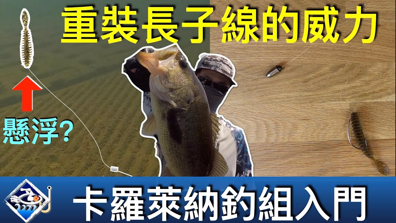 【卡羅萊納釣組：硬核教程】重裝長子線才是正道！水下視頻詳解各種迷思的真相【尋鱸決】
