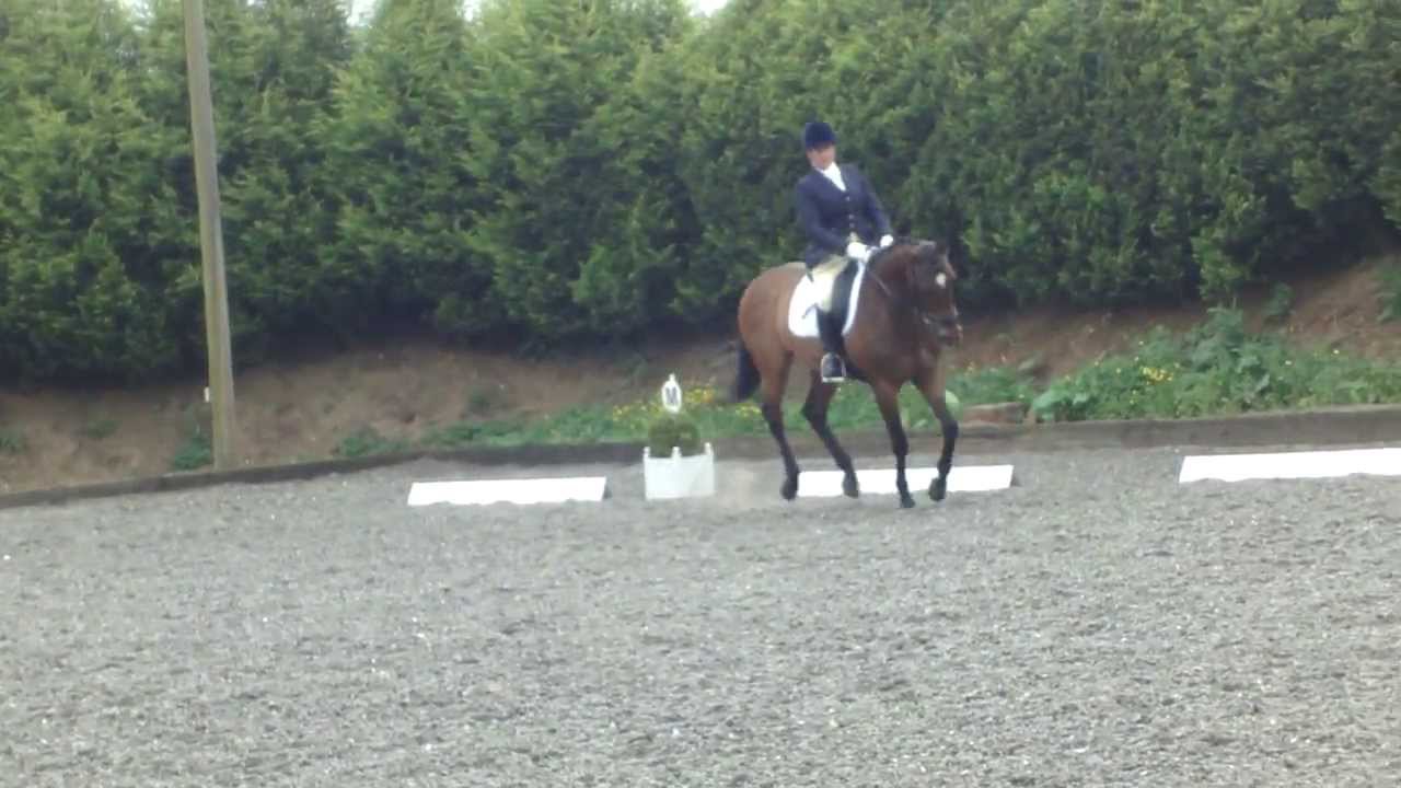 Elementary 43 Dressage Test, Classic Dressage, 6th June 2010