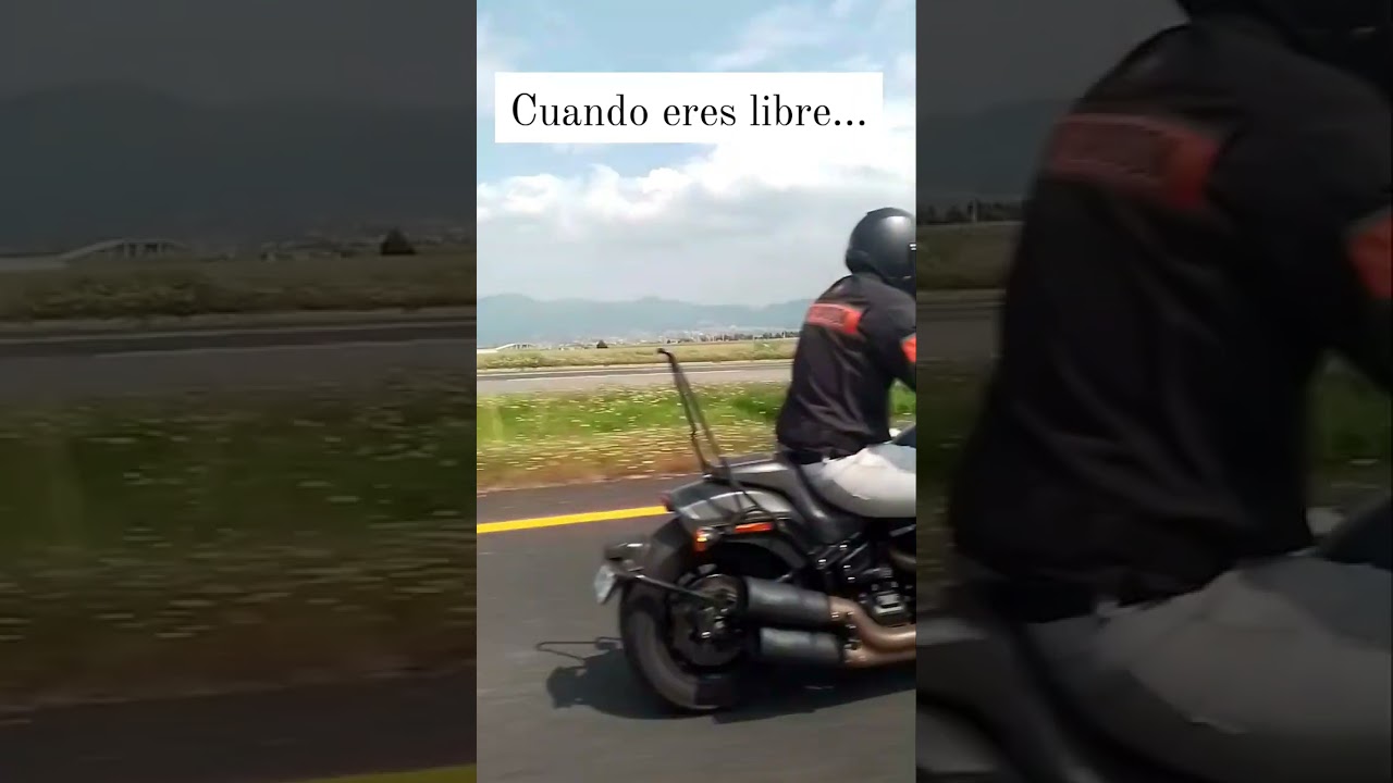 Andando por la Carretera #Libre  #Carreteralibre