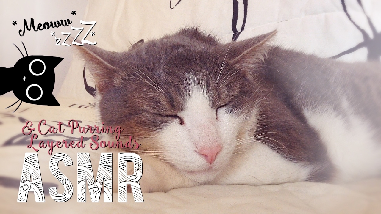 ASMR Français ~ Cat purring & Layered sounds / ronronnements + sons bouche/mains