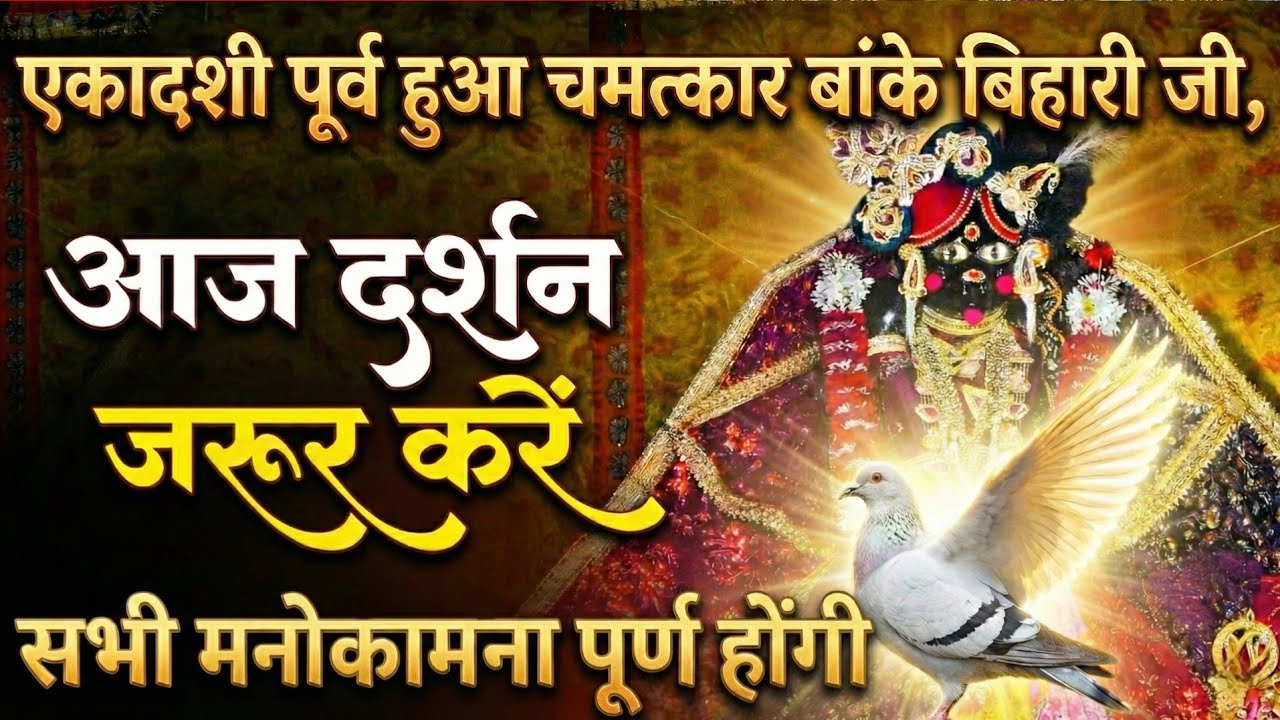 🙏एकादशी पूर्व चमत्कार 😱 श्री बांके बिहारी जी 🌹 आज दर्शन जरुर करें 🙏banke bihari live darshan today