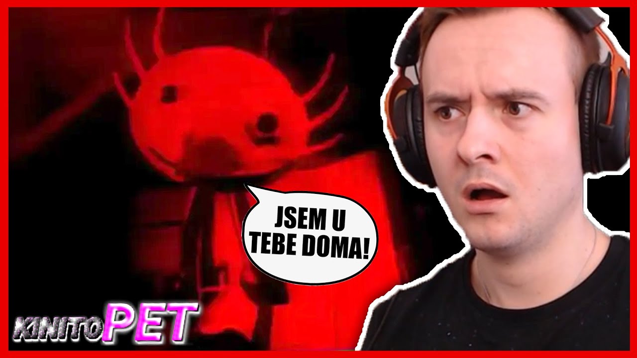 KINITO JE U MĚ DOMA?😨 KinitoPet #3
