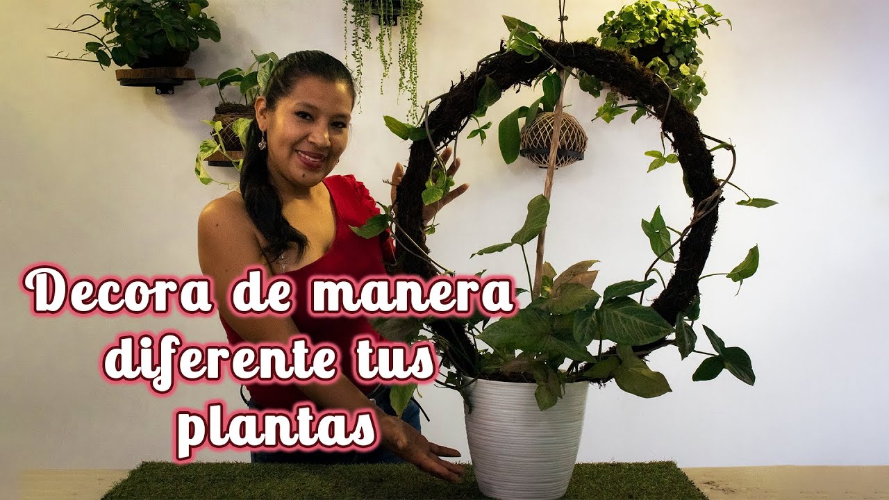 Cómo hacer  un tutor circular  para  tus plantas colgantes o enredaderas.