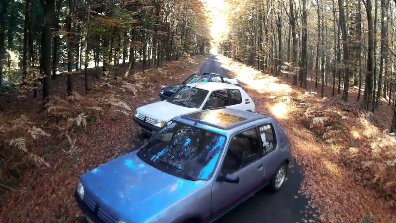 Peugeot 205 GTI + Roland Garros