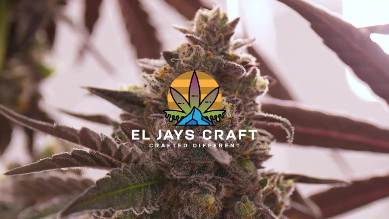Sunset Sherbet | El Jay&rsquo;s