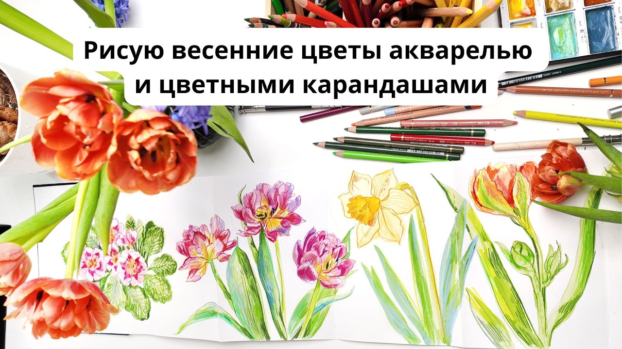 Рисую весенние цветы акварелью и цветными карандашами. Влог художника. Типы воображения.