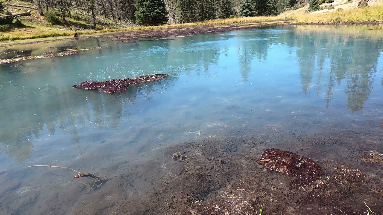 Sulphur Canyon - Valles Caldera National Preserve