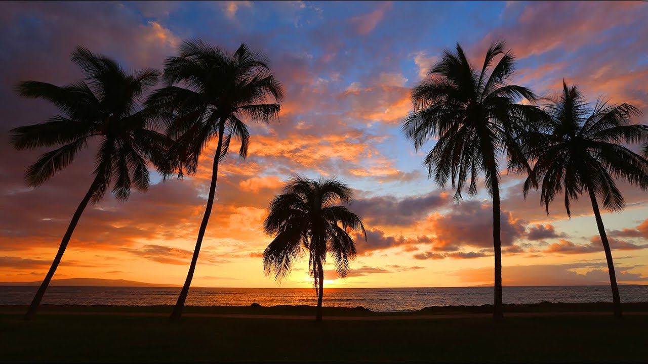 Maui - The Valley Isle - Glidecam HD 2000