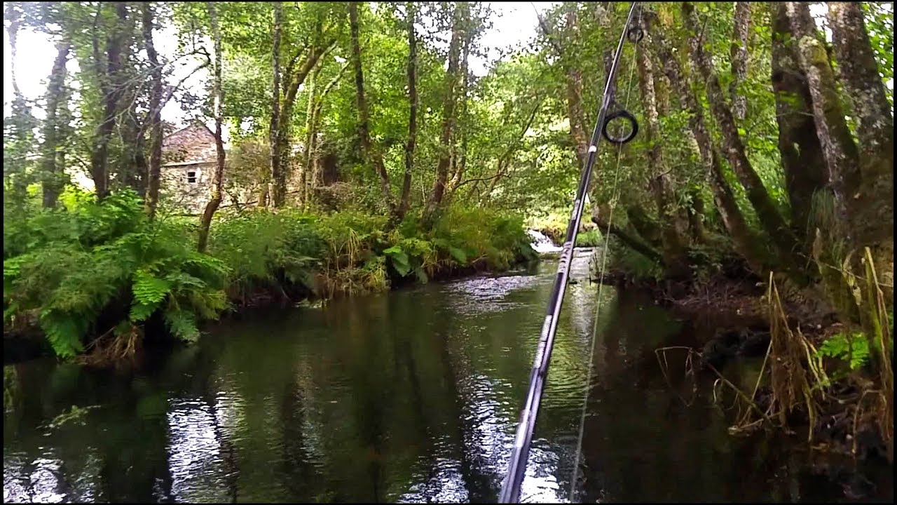 DP23. Pesca con cucharilla a ballesta en el Mandeo: mi última jornada de 2019 [last fishing day]