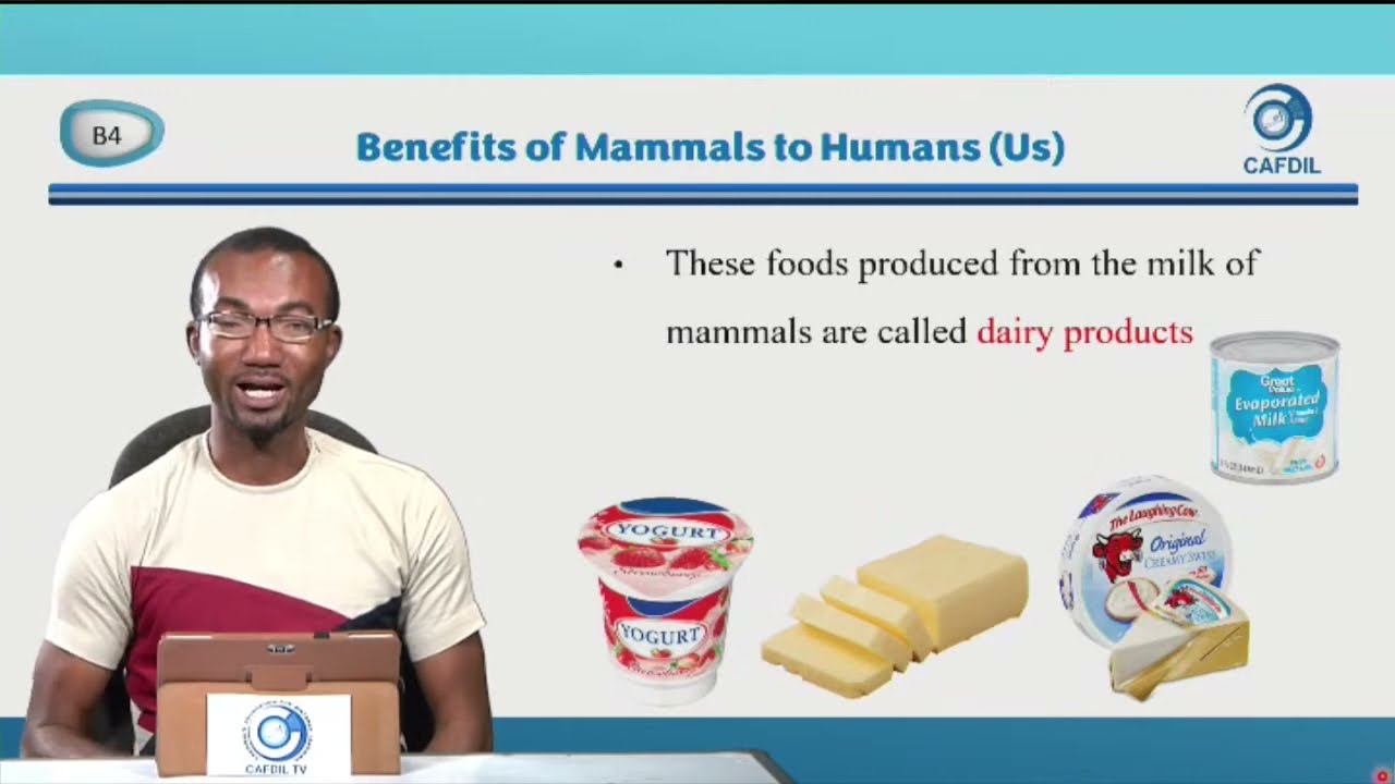CAFDIL LESSONS: INTEGRATED SCIENCE BASIC FOUR-Benefits of some Mammals