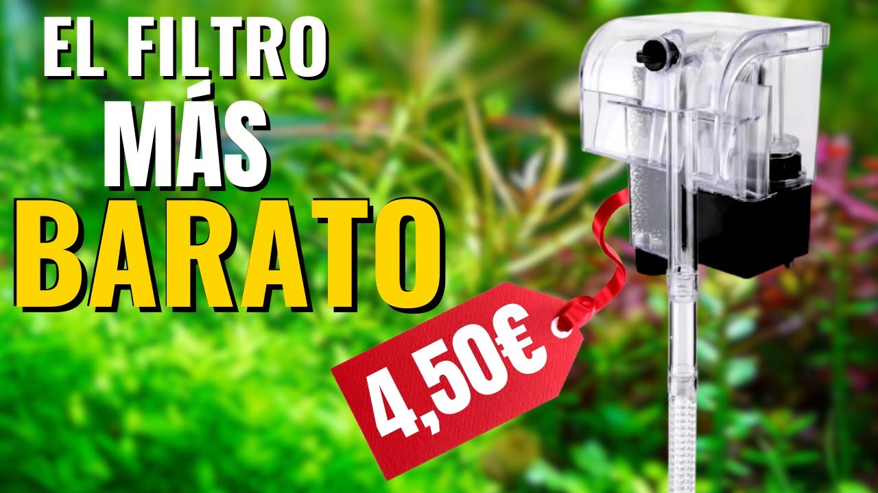 👉 El FILTRO DE ACUARIO MÁS BARATO del mundo (solo 4,50 €) 🐠 | Review y prueba real