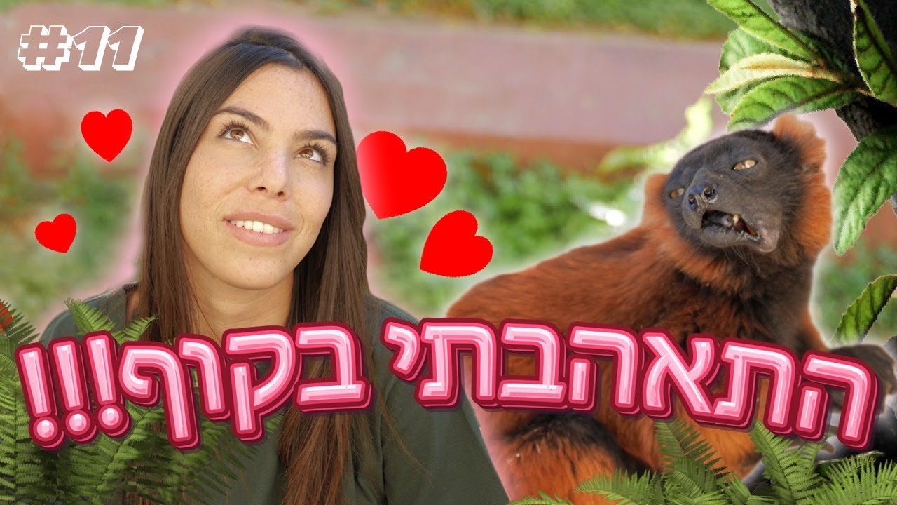 אף פעם לא פגשתי קוף! 11#