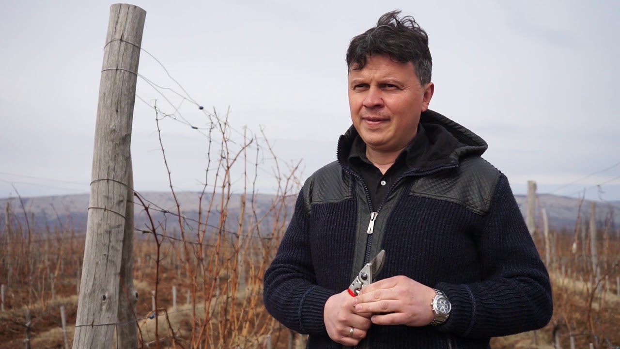 Autohtone vrste Srbije ep. 54 19.03.2020. - Crna tamjanika