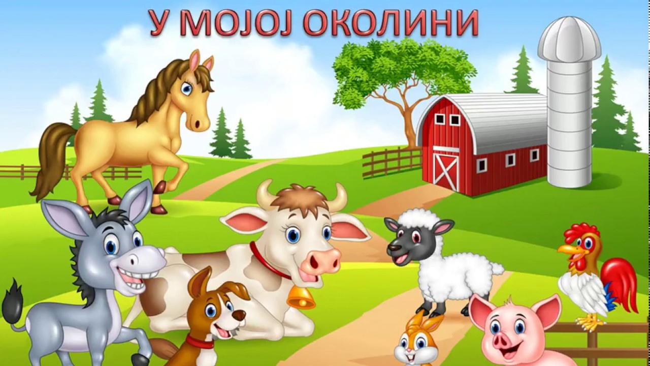 ЖИВОТИЊЕ У МОЈОЈ ОКОЛИНИ