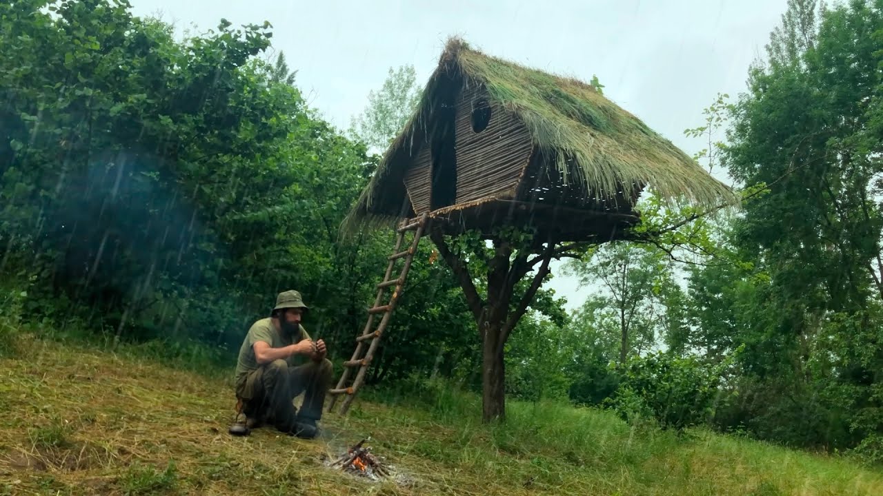 The Ultimate Eco-Friendly Treehouse