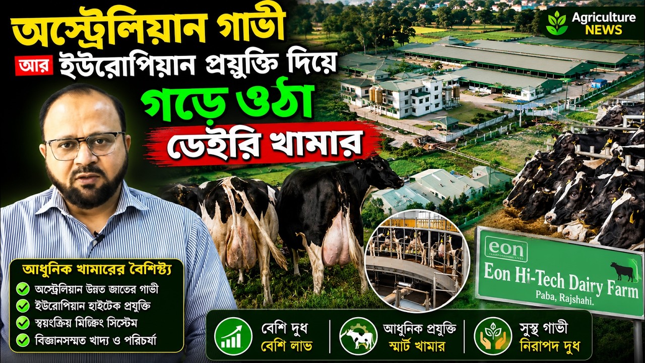 বিদেশ থেকে আমদানীকৃত গাভী আর ইউরোপিয়ান প্রযুক্তি দিয়ে গড়ে ওঠা ডেইরি খামার | Eon Hitech dairy farm