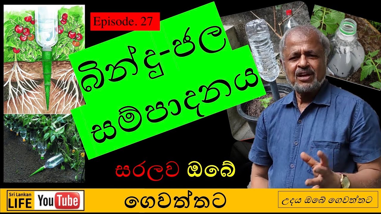 Ep 27. නිවසේ ඉවතලනදෑ භාවිතයෙන් සරල බින්දු-ජල සම්පාදන ක්‍රමවේදයක් | A simple drip-irrigation system.