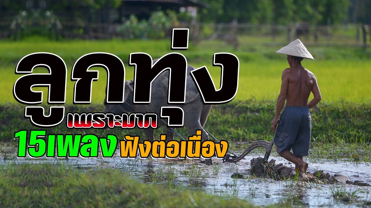 ลูกทุ่งเพราะมาก คัดมาพิเศษ : 15เพลงฟังต่อเนื่อง