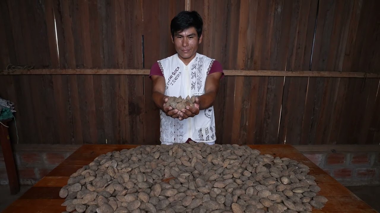 Nilder   líder de la comunidad nativa Sinchi Roca