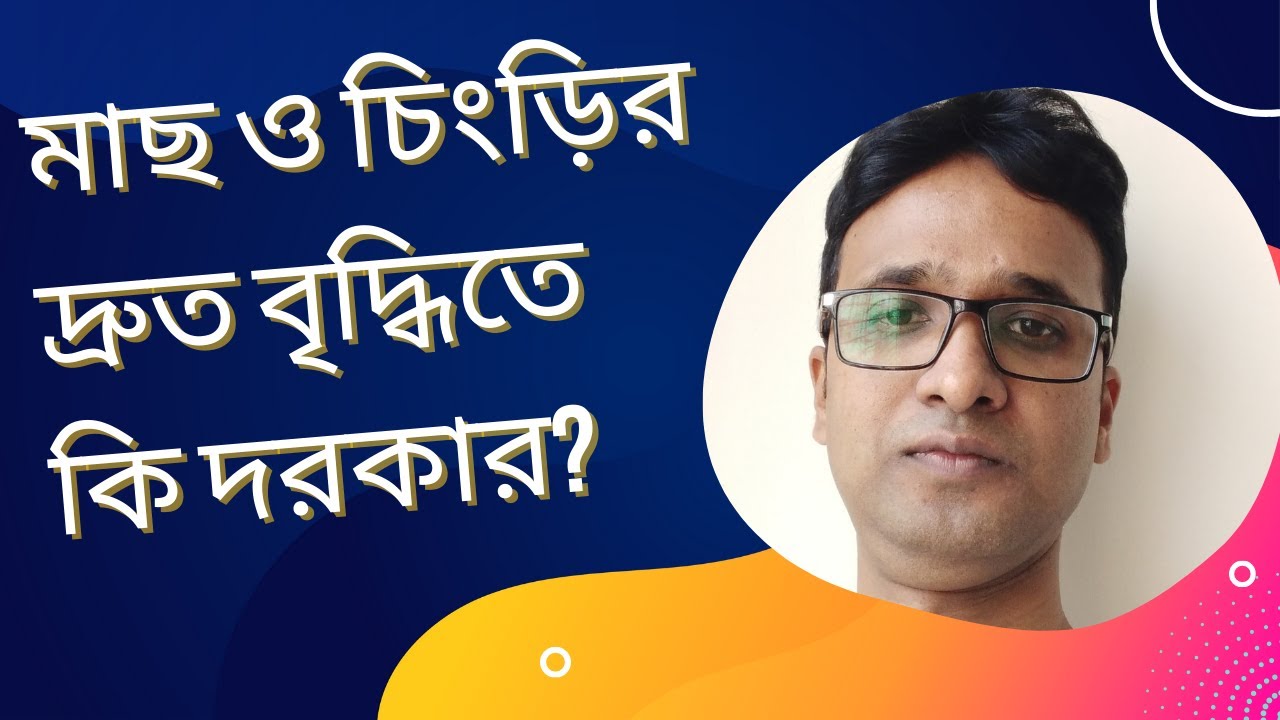মাছ ও চিংড়ির দ্রুত বৃদ্ধিতে ‍কি দরকার?