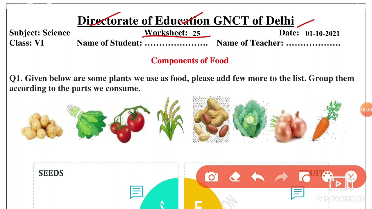 Science Worksheet 25 Class 6 (1/10/21)English Medium / Worksheet 25 Science Class 6/Worksheet Sci 25