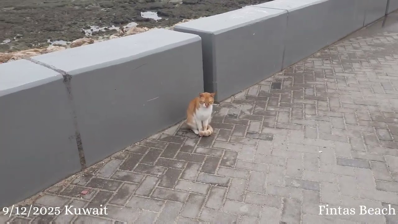 فيروز - يبكي ويضحك