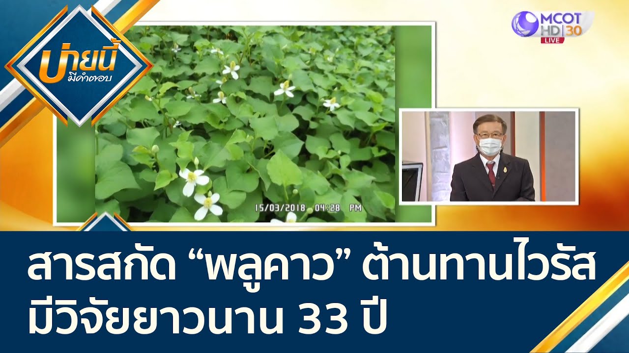 สารสกัด 