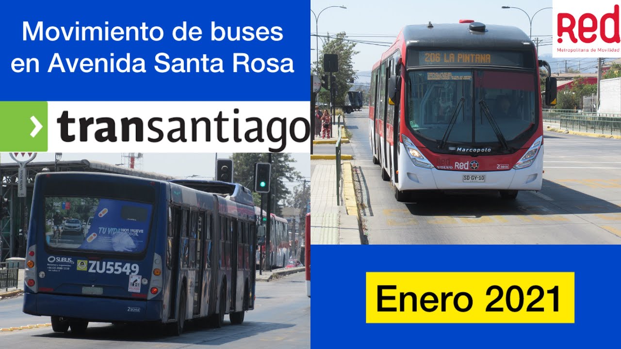 Varios buses Transantiago y Red pasando por avenida Santa Rosa