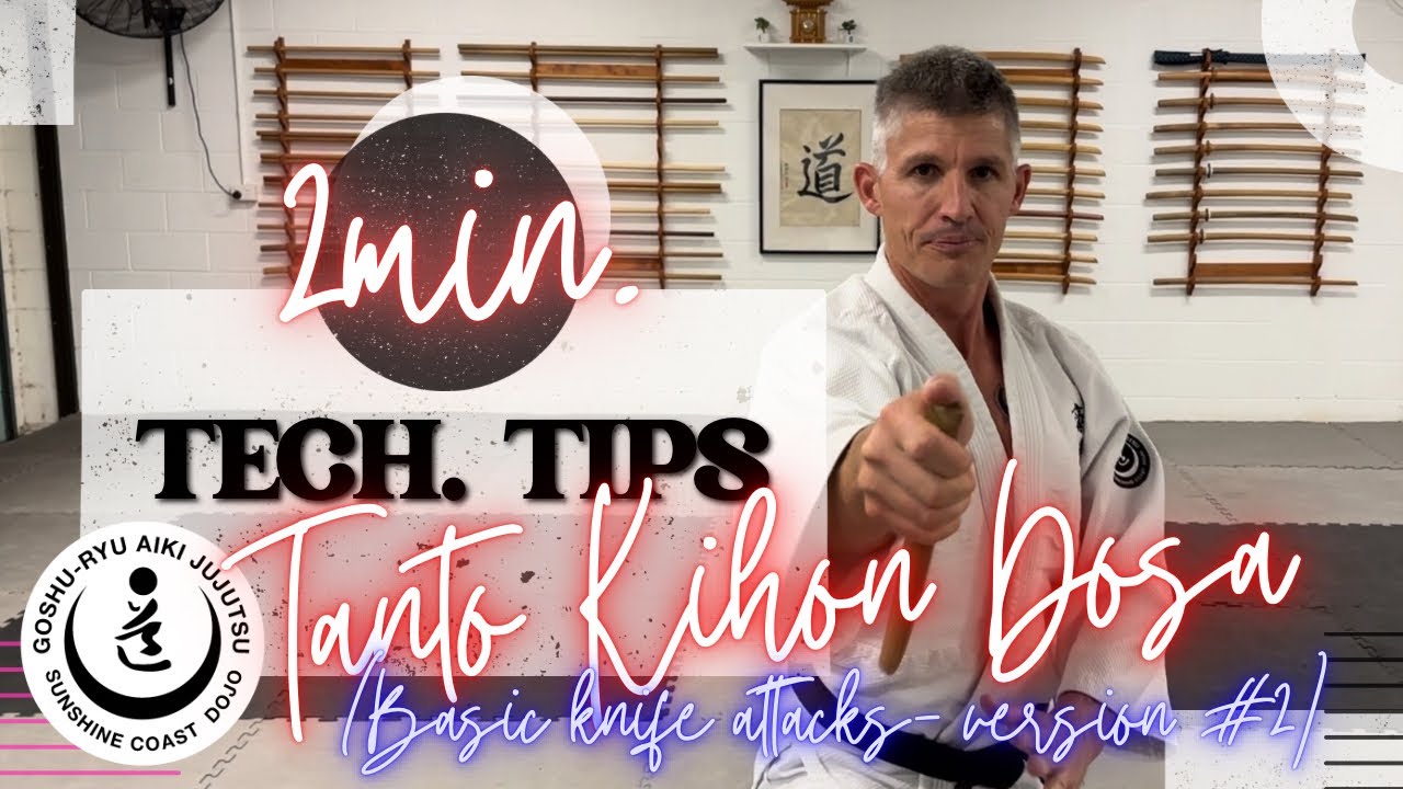 Tanto kihon dosa renzoku v#2 | Goshu-ryu #Aikijujutsu 豪州流#合気柔術- #selfdefense #martialarts