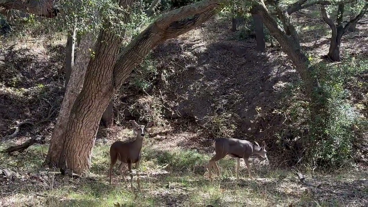 Hiking in wilderness 