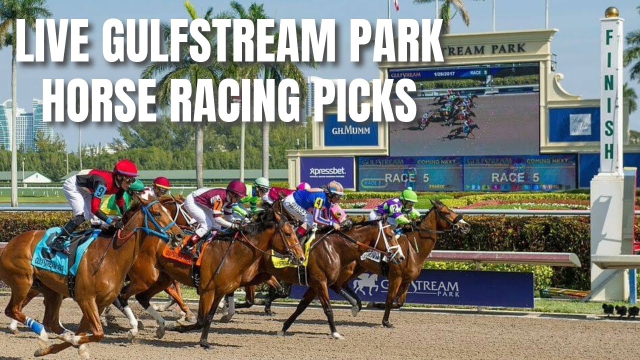 Live Gulfstream Park Horse Racing Picks