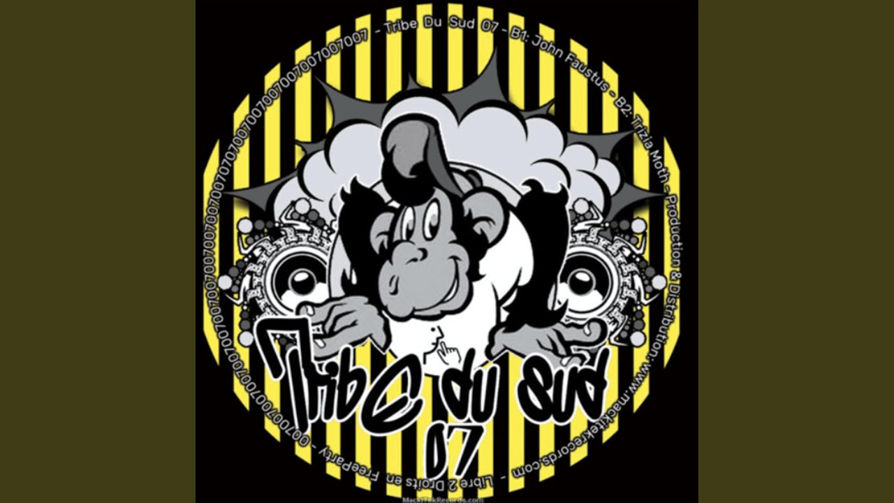 Antinomy (Tribe du sud 07)
