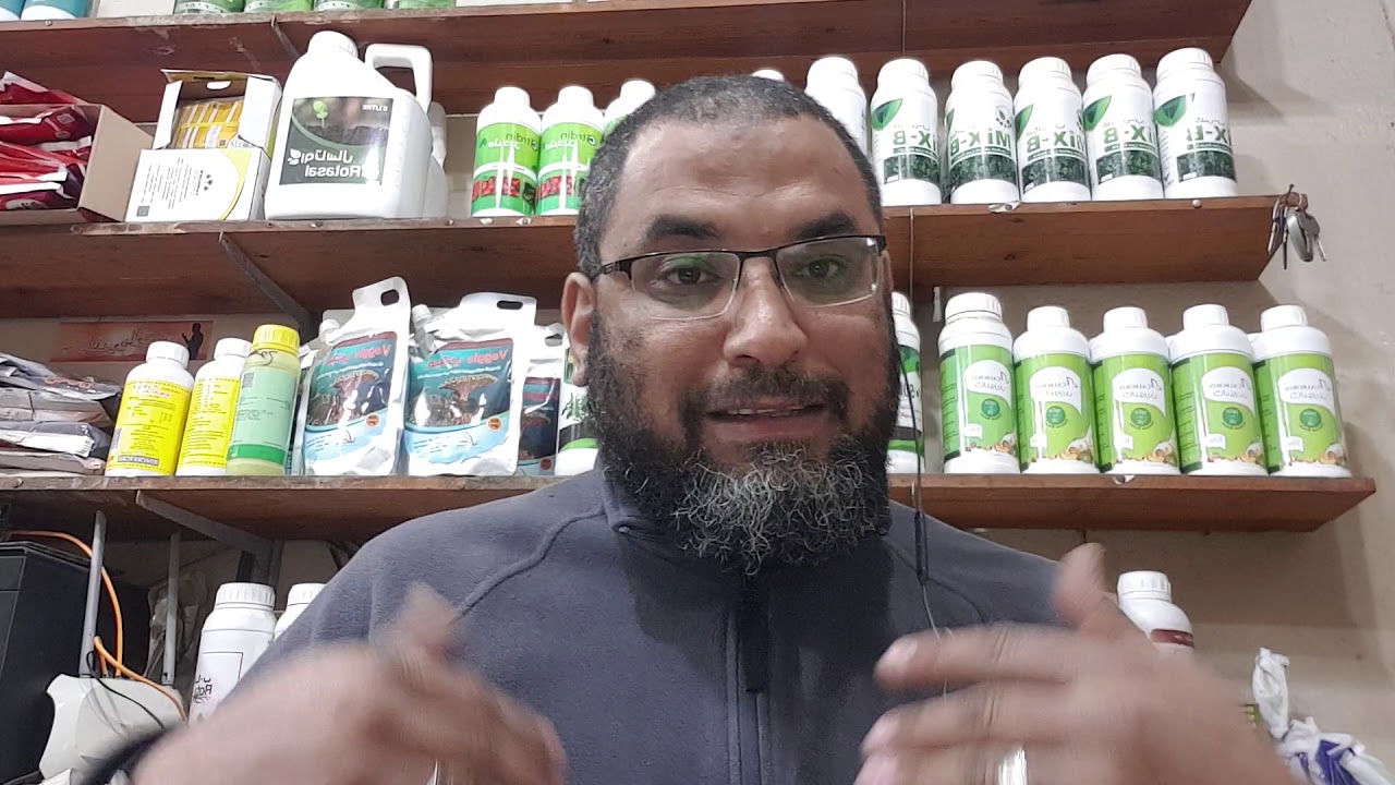 خطوره الاشنات علي شجر المانجو والزيتون والموالح والعلاج الغير مكلف تابعونا 
🌹🌹🙏🙏🌹