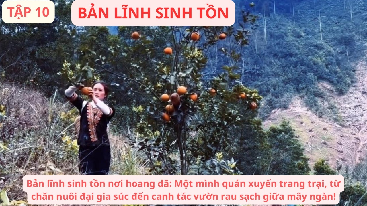 Sinh Tồn Việt Nam T10: Người Phụ Nữ Tự Xây Vườn Rau Trên Đỉnh Núi, Chăm Sóc Đàn Gia Súc Giữa Rừng
