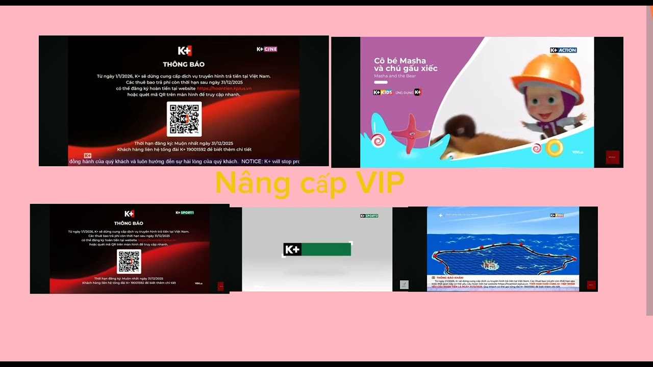 Multiview K+ 1/1/2026