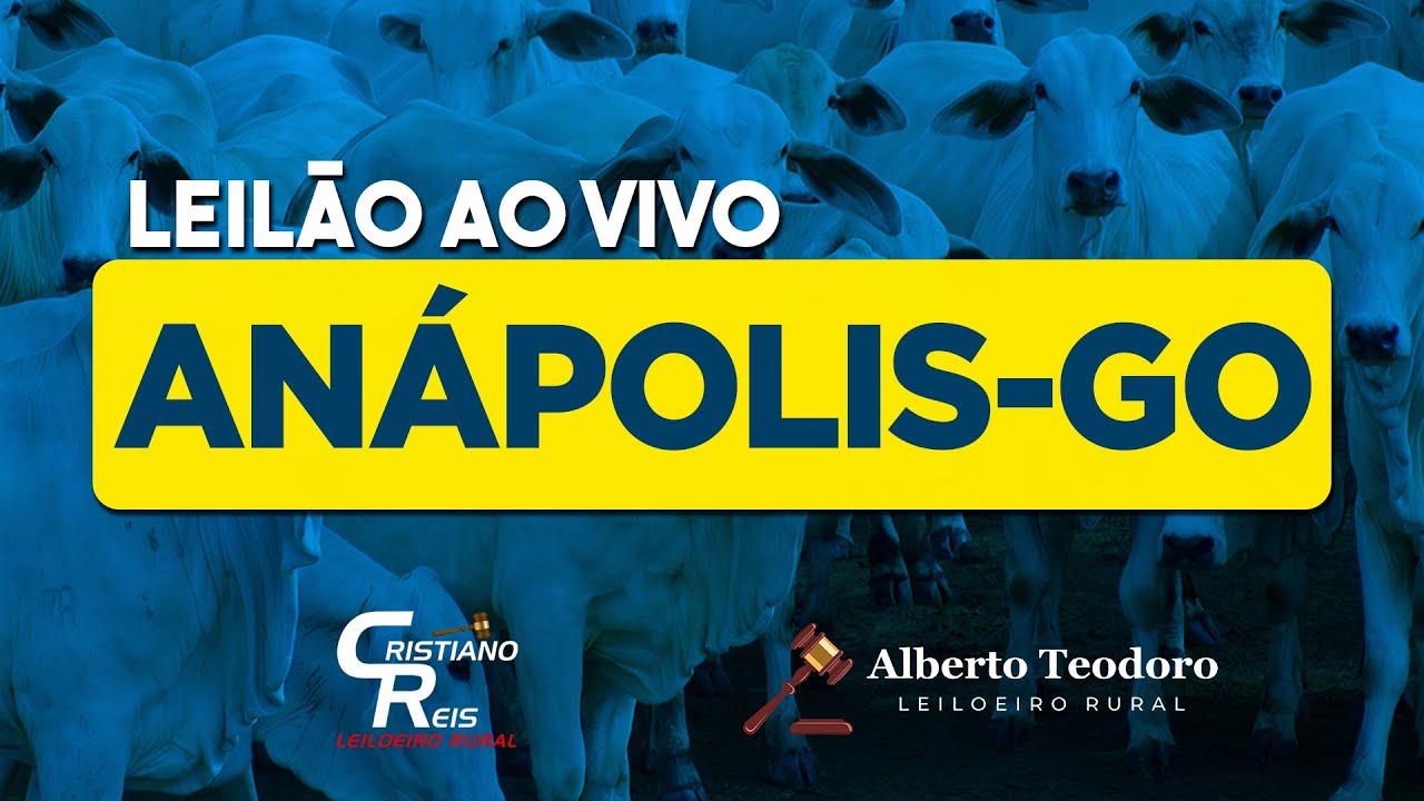 LEILÃO DE ANÁPOLIS | ANÁPOLIS-GO  26/01/2026 | LEILÃO DE GADO AO VIVO