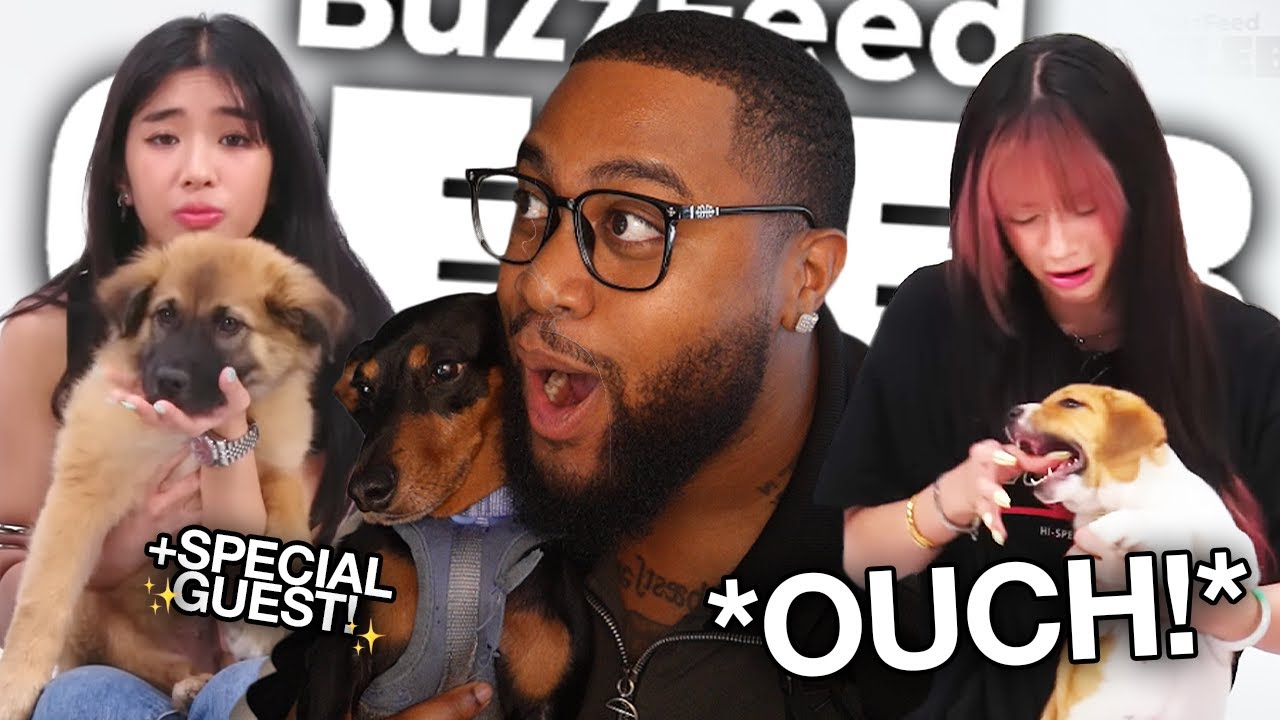 The KATSEYE Puppy Interview Was MAX LEVEL WHOLESOME! (Reaction)