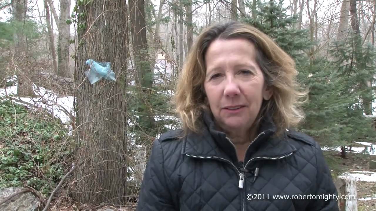Trees of My City Other Voices: Newton Conservators