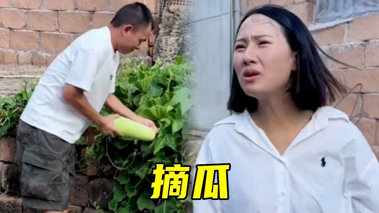 老表热心帮慧慧摘瓜，没想到被狠狠坑惨，这下亏大了！🤣# 搞笑 #爆笑