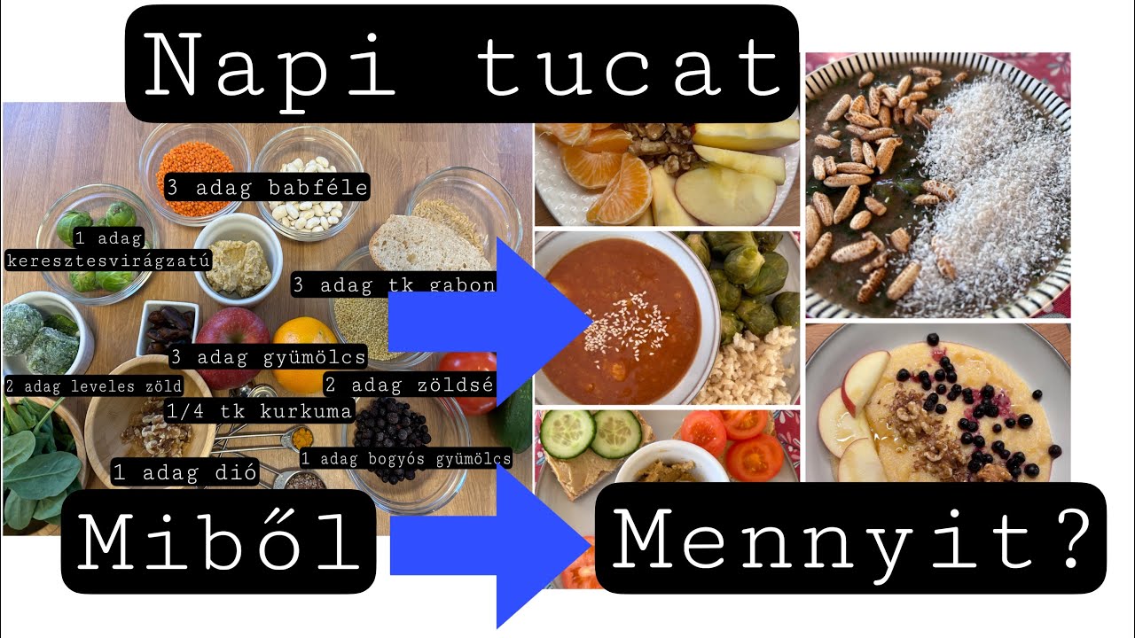 Napi tucat- egy teljes napi &eacute;tkez&eacute;s bemutat&aacute;sa vizu&aacute;lis t&iacute;pusoknak: dr Greger elvei a gyakorlatban!