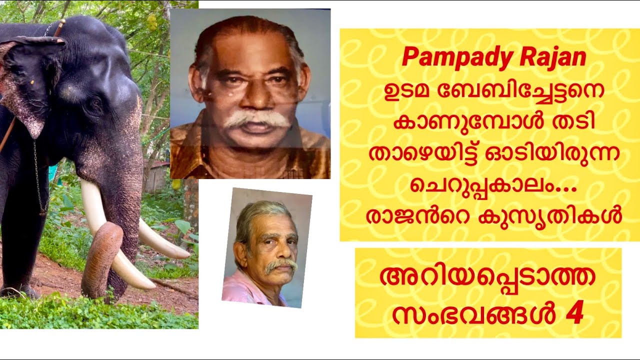 Pampady Rajan നും ഉടമസ്ഥൻ ബേബിച്ചേട്ടനും രാജൻറെ കുസൃതികൾ VM Pradeep Media