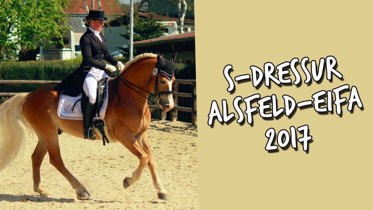 [Turnier] Amani | S-Dressur | Alsfeld-Eifa 2017