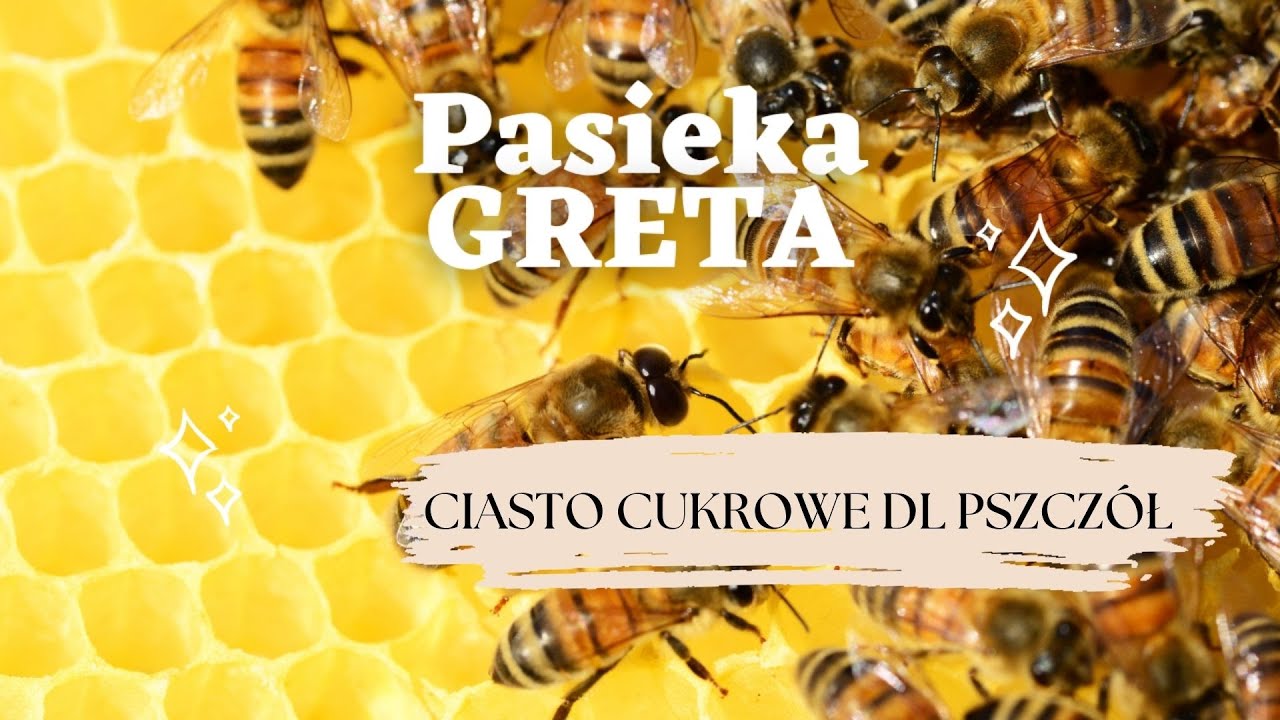 Ciasto cukrowe dla pszczół BEZ mieszania :)
