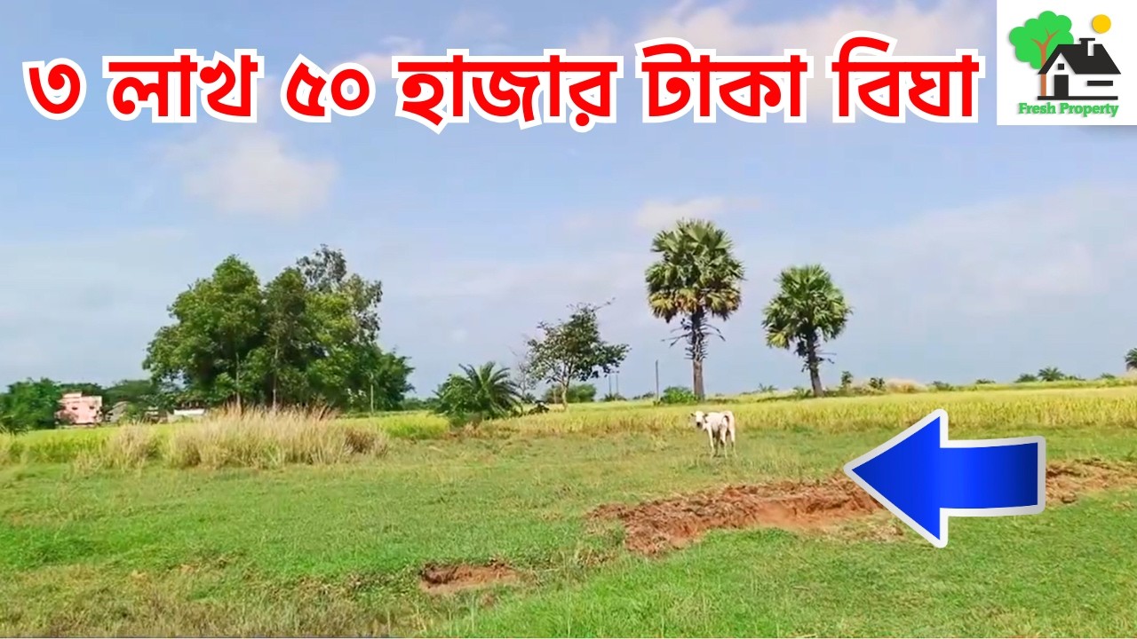 Fp - 1433 | ৩ লাখ ৫০ হাজার টাকা বিঘা | 9073 145 145