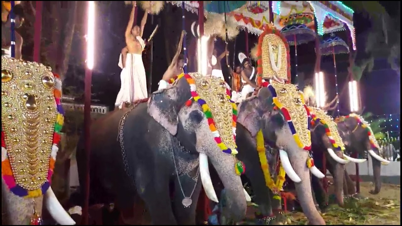 cherai raktheshwari temple pooram 2023 | cherai raktheshwari temple pooram | raktheshwari temple